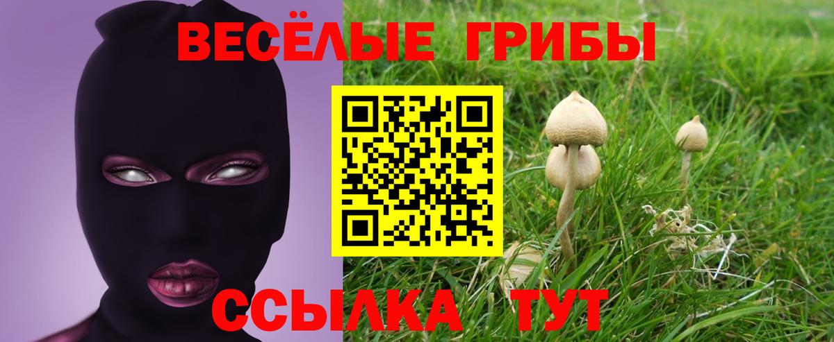 Псилоцибиновые грибы мухоморы Смоленск