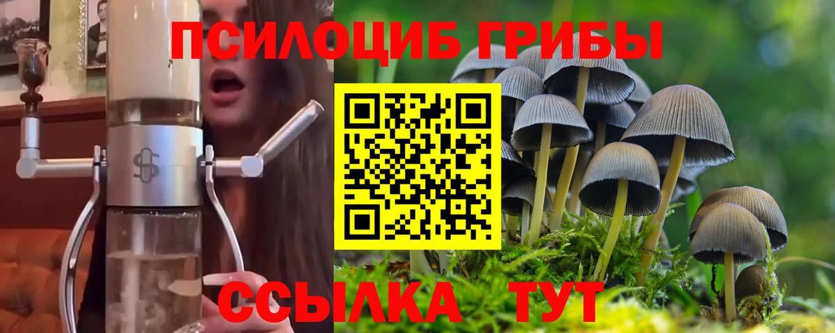 Смоленск  Псилоцибиновые грибы Magic Shrooms  Псилоцибиновые грибы прущие грибы  Вход с VPN 